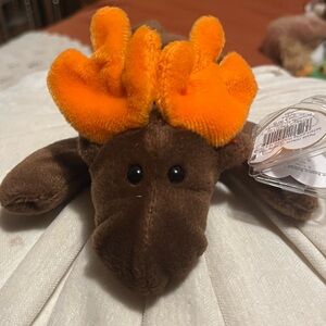 Original Chocolate moose 1993 beanie baby with cased tags